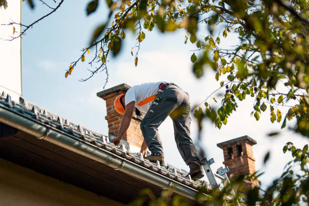 Residential Roof Replacement in Upper Grand Lagoon, FL